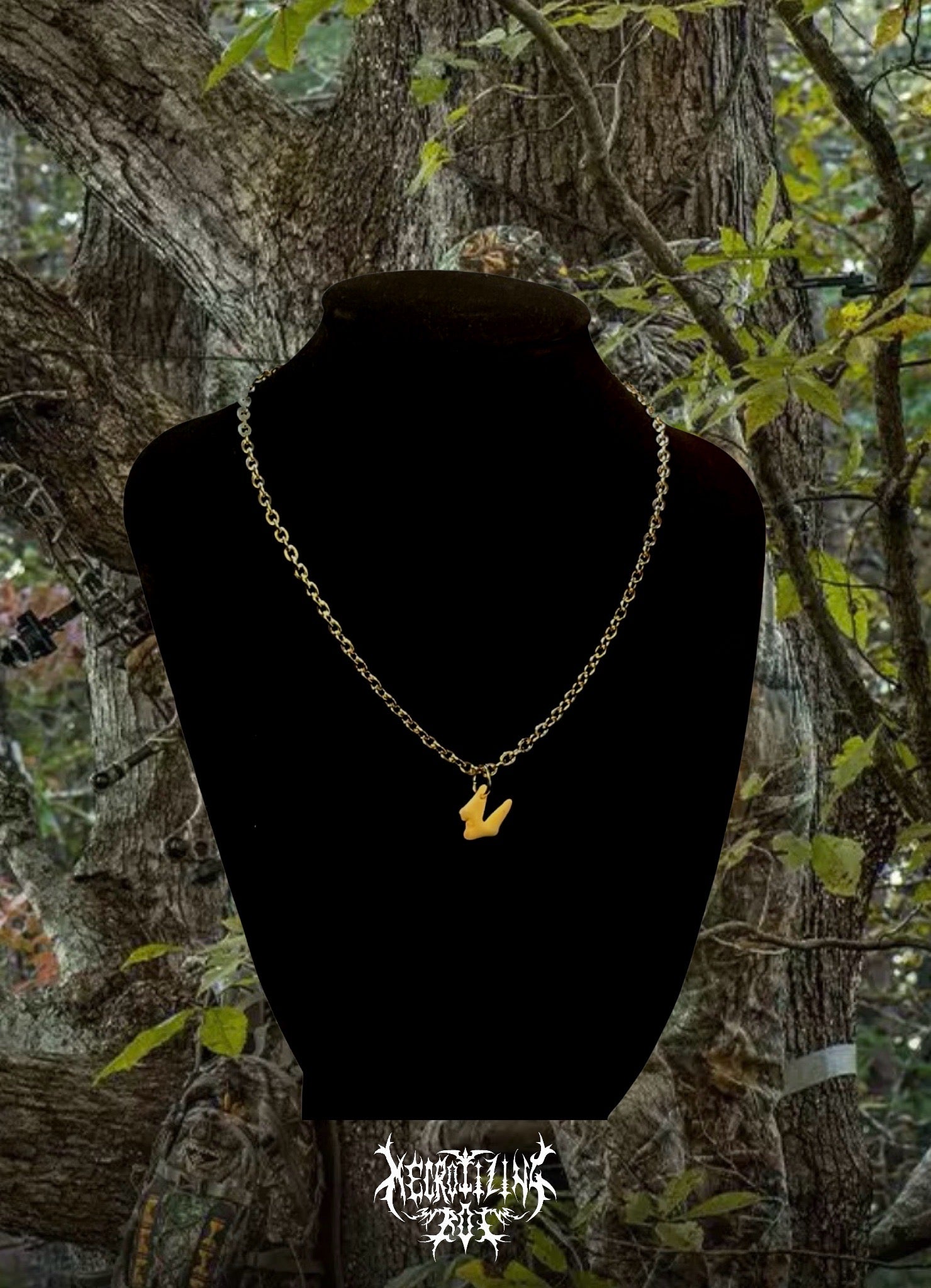 Coyote tooth choker