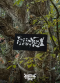Phyllomedusa patch