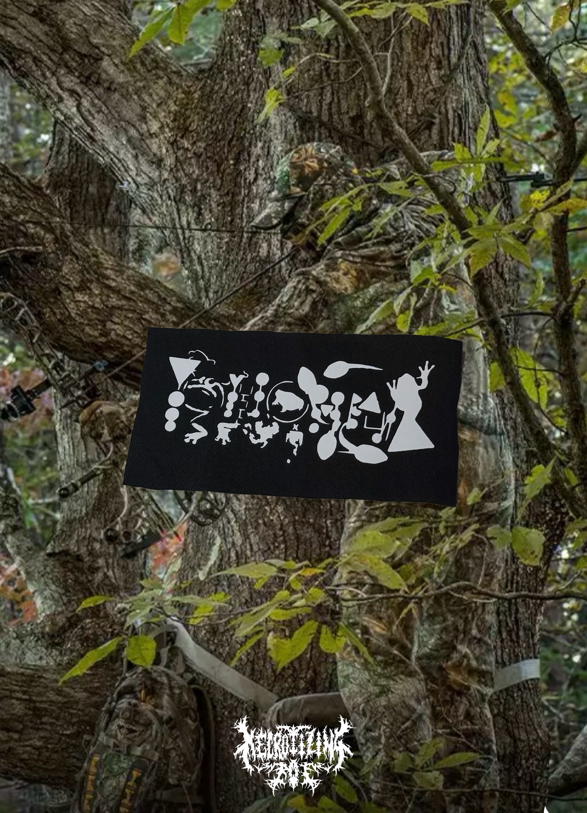 Phyllomedusa patch