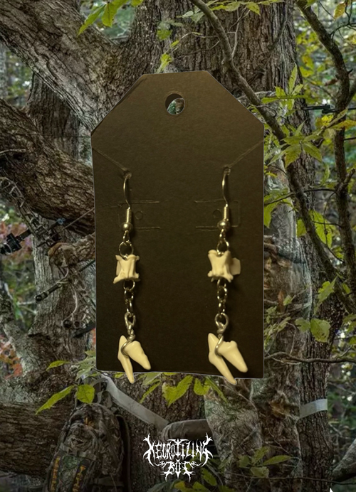 1/1 Vertebrae and Premolar Earrings