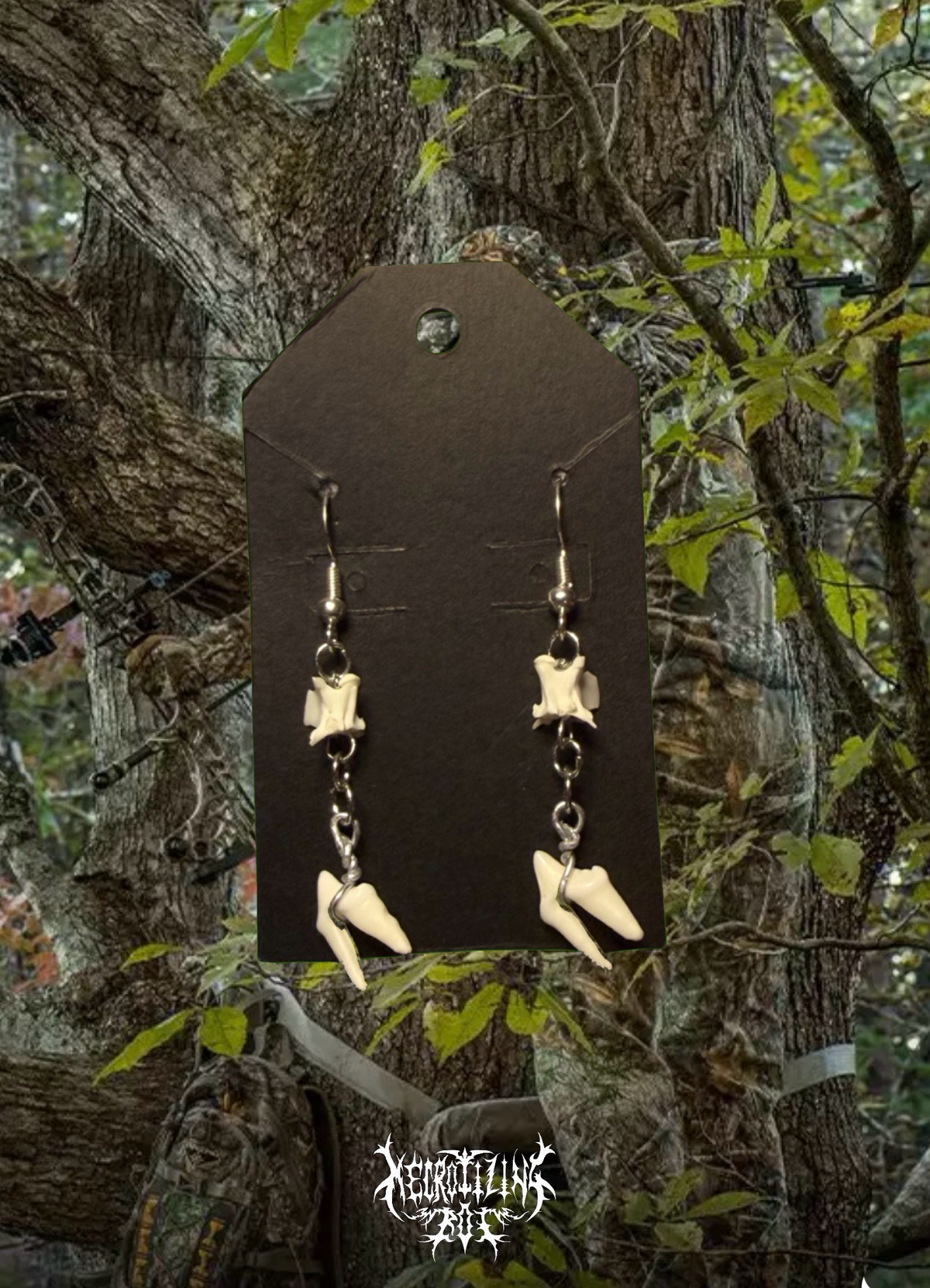 1/1 Vertebrae and Premolar Earrings