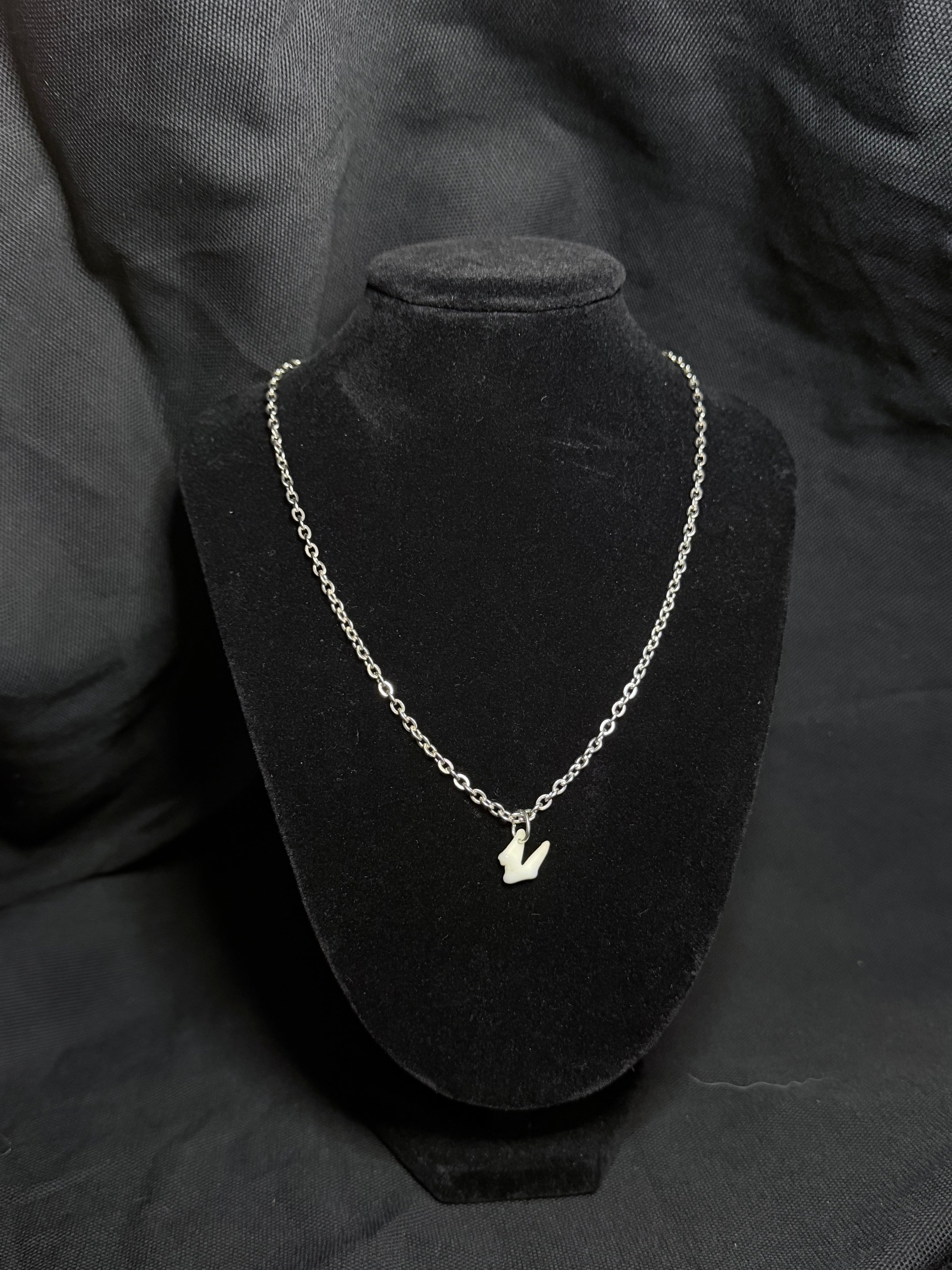 Coyote premolar choker